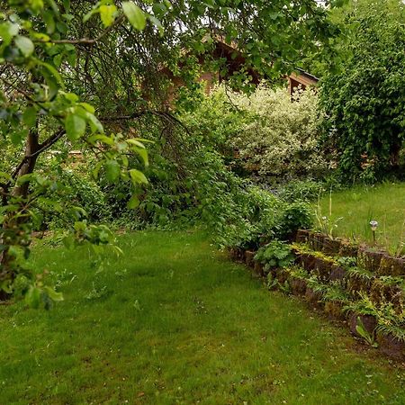 Ferienhaus Weitblick Altenbrak Esterno foto