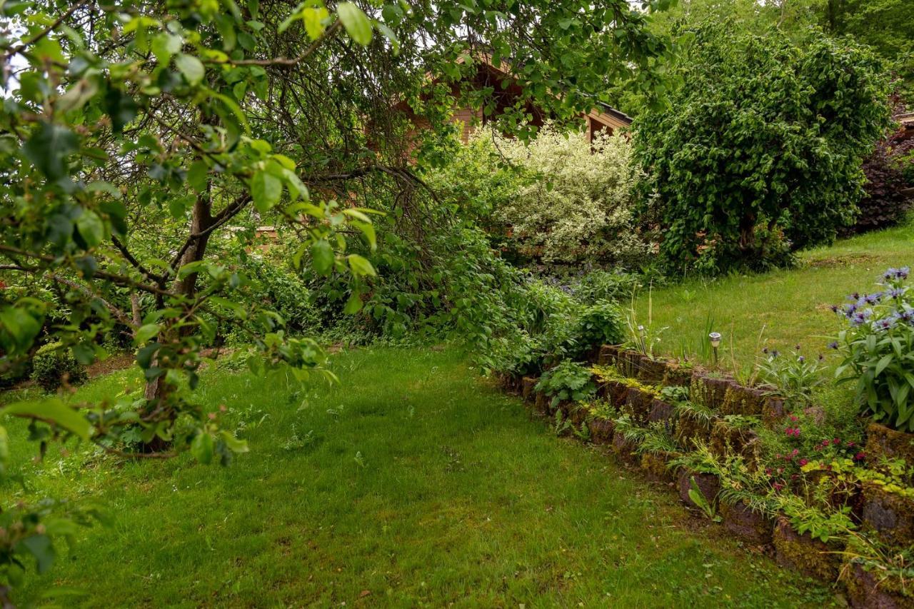 Ferienhaus Weitblick Altenbrak Esterno foto